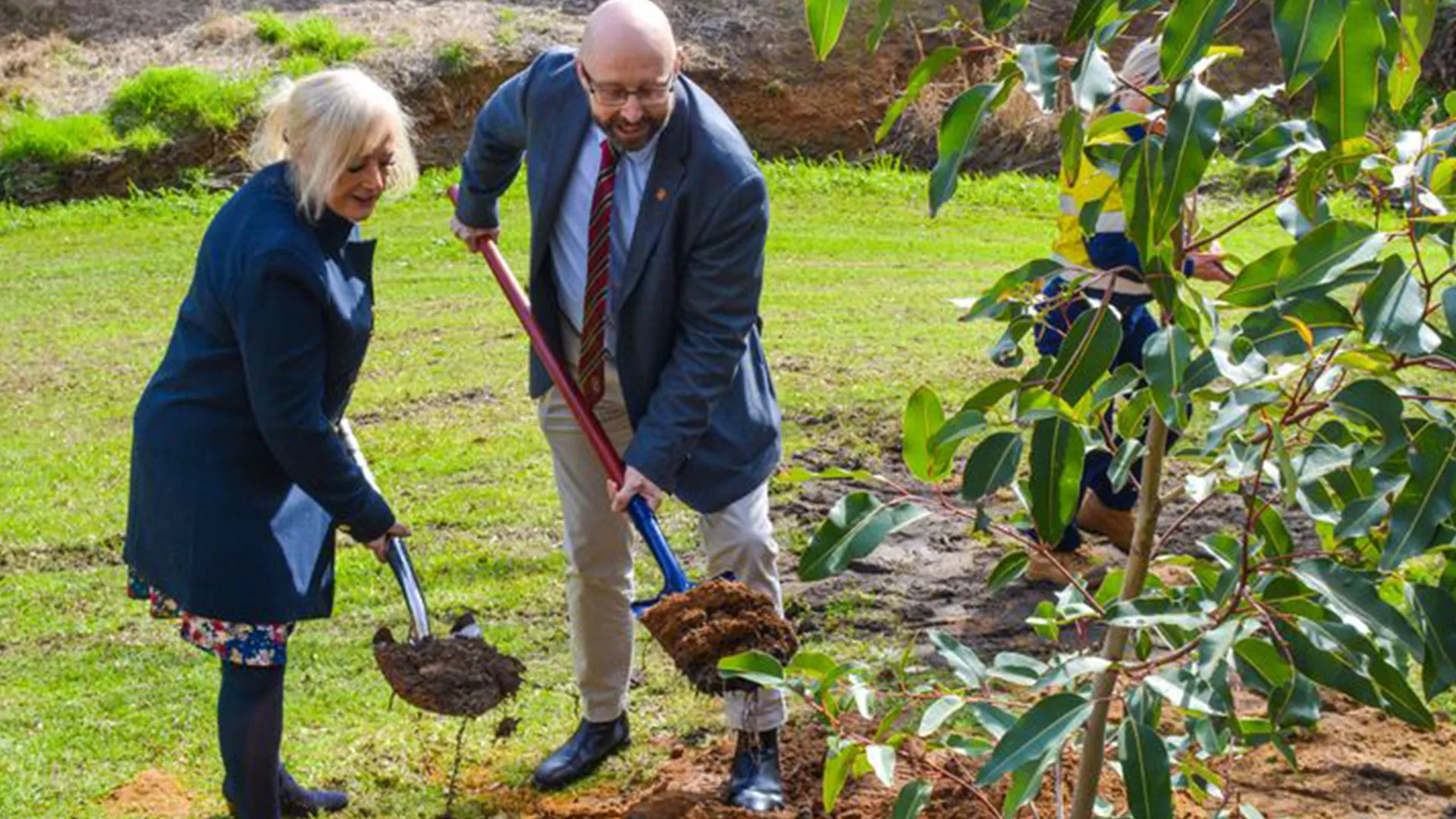 Tree planting ceremony